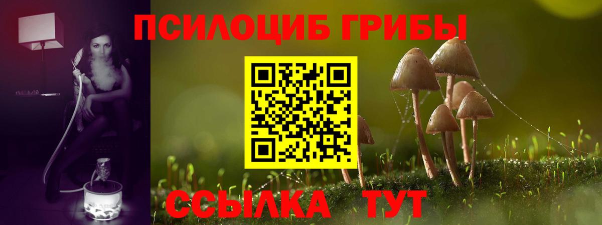 Галлюциногенные грибы GOLDEN TEACHER Печора